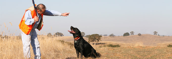 A dog trainer with his black hunting dog in an Illinois field.